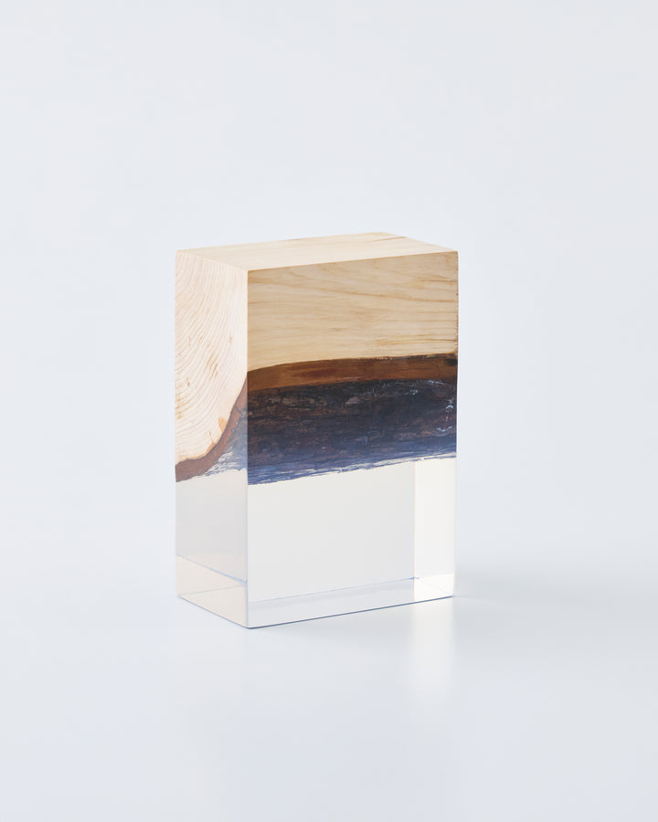 Enclosed wood object diffuser